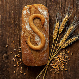 Trigo Integral - Sin Sal x 3