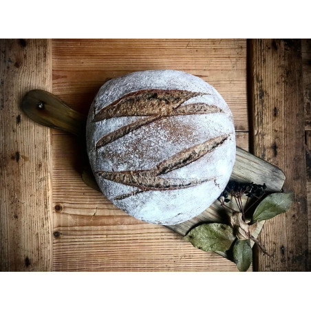 Pan de Centeno Redondo