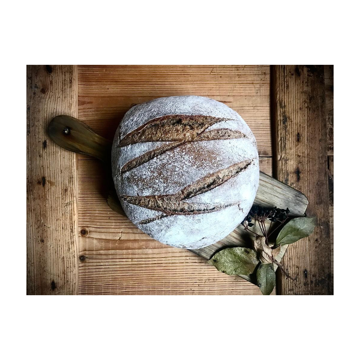 Pan de Centeno Redondo