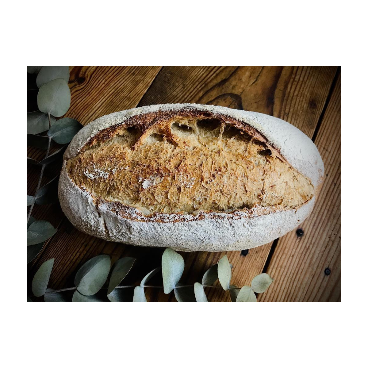 Campesina 1/2 Kg