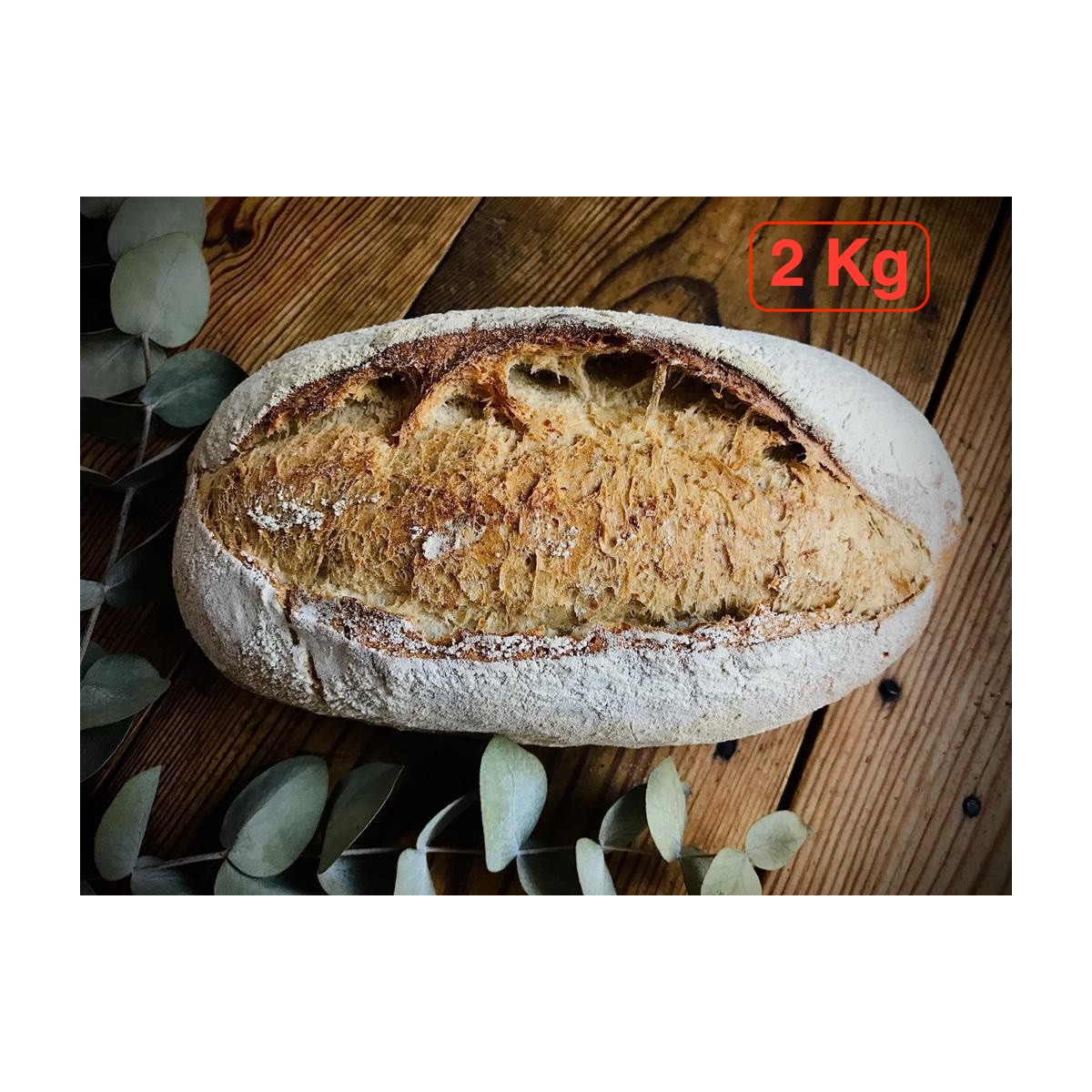 Telera 2 Kg