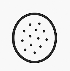 Panes Integrales image